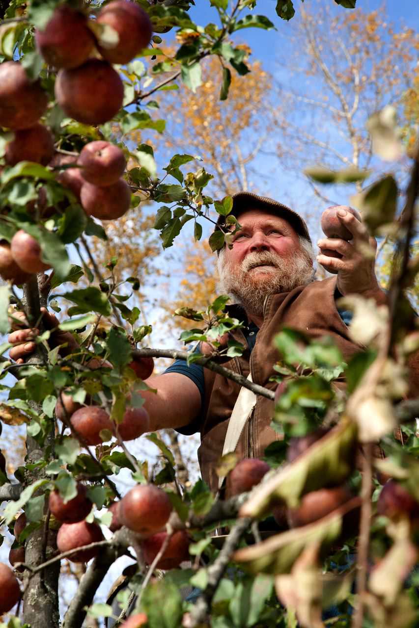 Michael Phillips: Pioneer of Holistic Orcharding and Beyond-Organic Practices