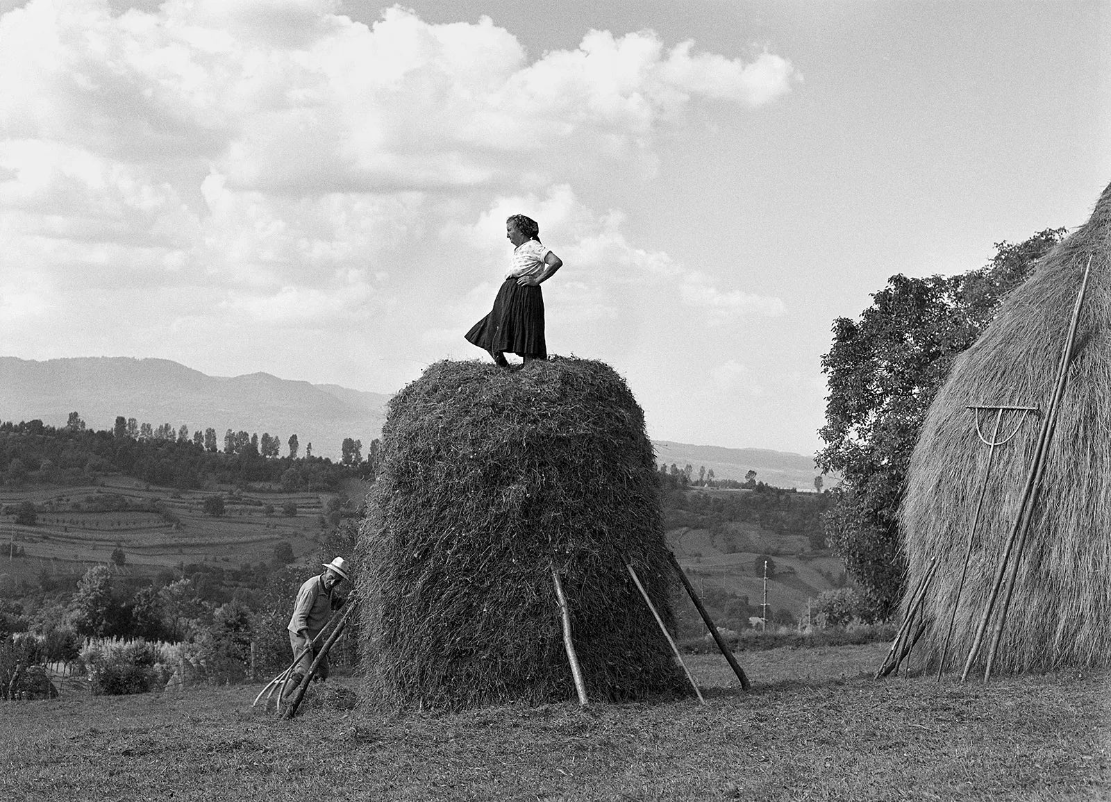 Making Hay by Hand: Traditional Small-Scale Haymaking for Livestock & Homesteads