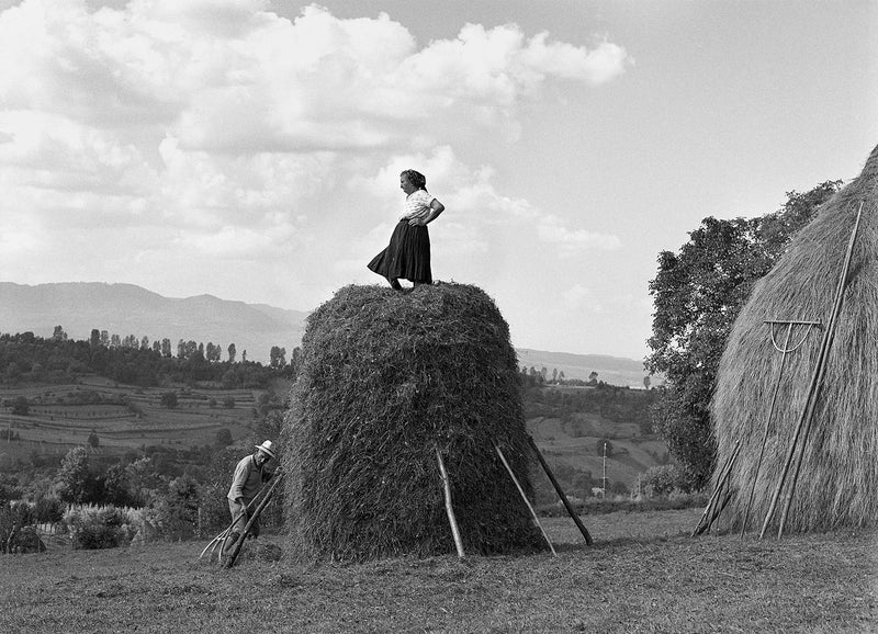 Making Hay by Hand: Traditional Small-Scale Haymaking for Livestock & Homesteads