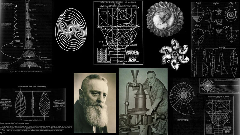 Living Water + Viktor Schauberger: The Water Wizard Who Inspired Permaculture
