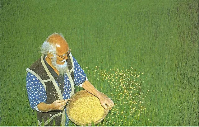 Masanobu Fukuoka: Natural Farming, Do-Nothing Agriculture & Regeneration
